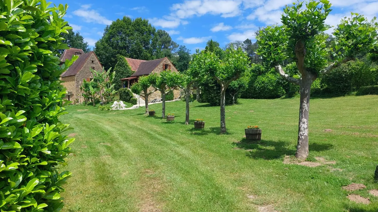 Les Platanes à Sarlat_5