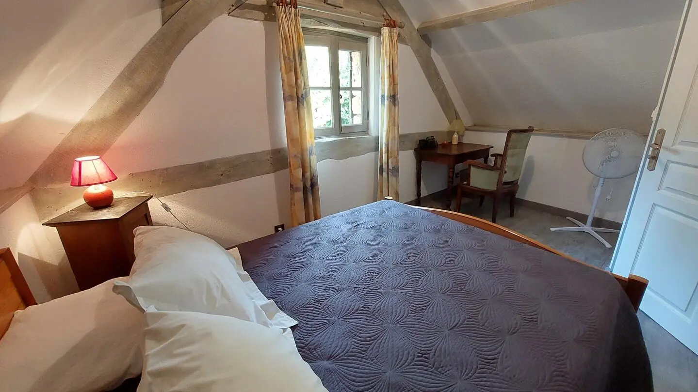 Les Platanes à Sarlat_11