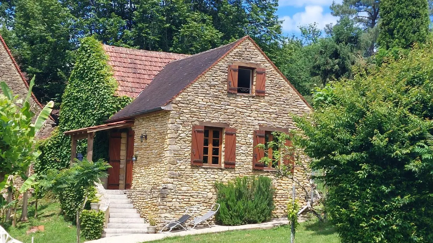Les Platanes à Sarlat_1