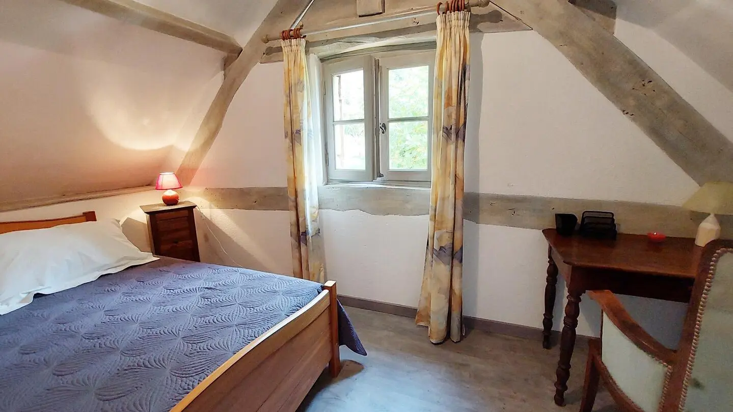 Les Platanes à Sarlat_13