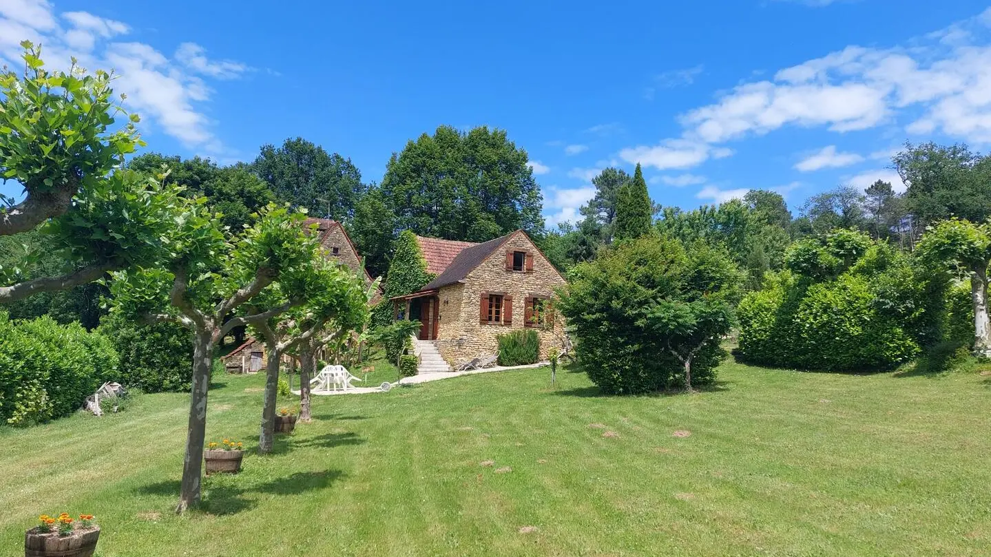Les Platanes à Sarlat_4