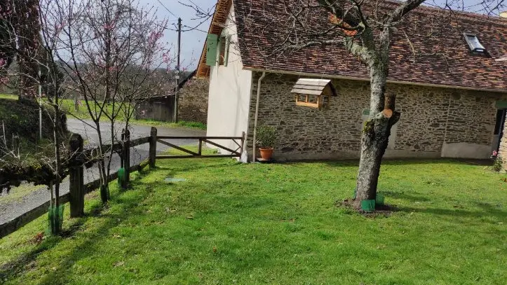 jardin