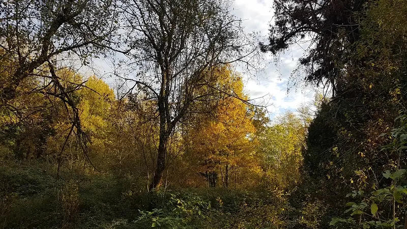 jardin-helys-parc-2S
