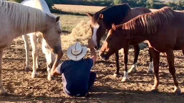 la-noalha-equitation