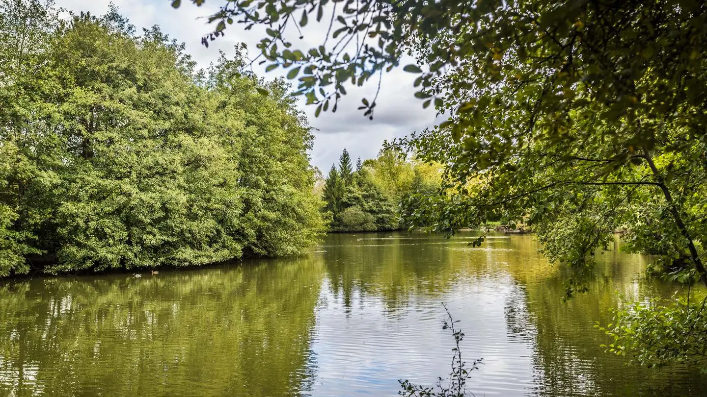 Lac des carolins - Lescar - le lac