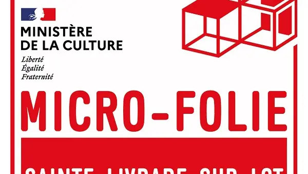 Micro folie