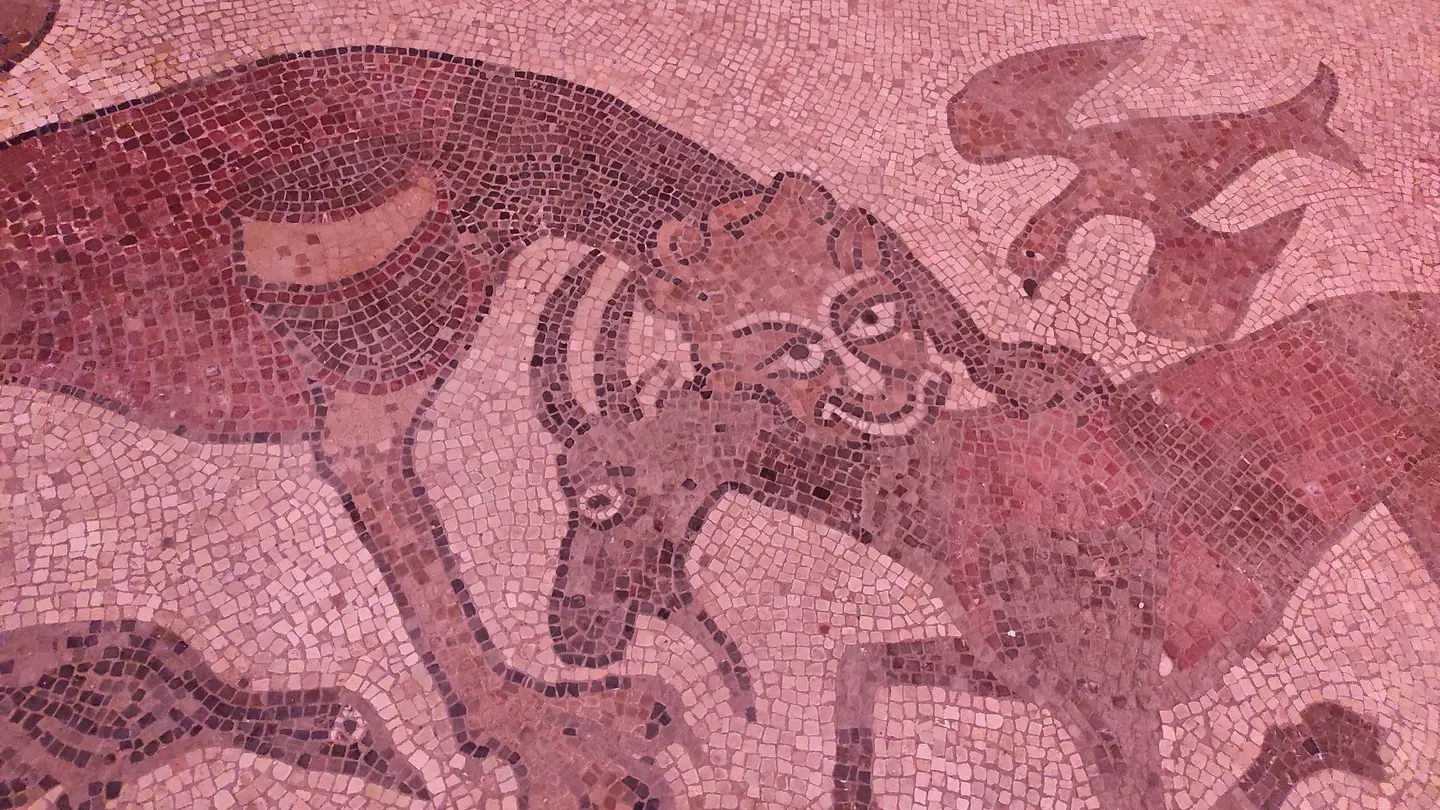 Mosaïque Cathédrale de Lescar - Lescar - détail bouc