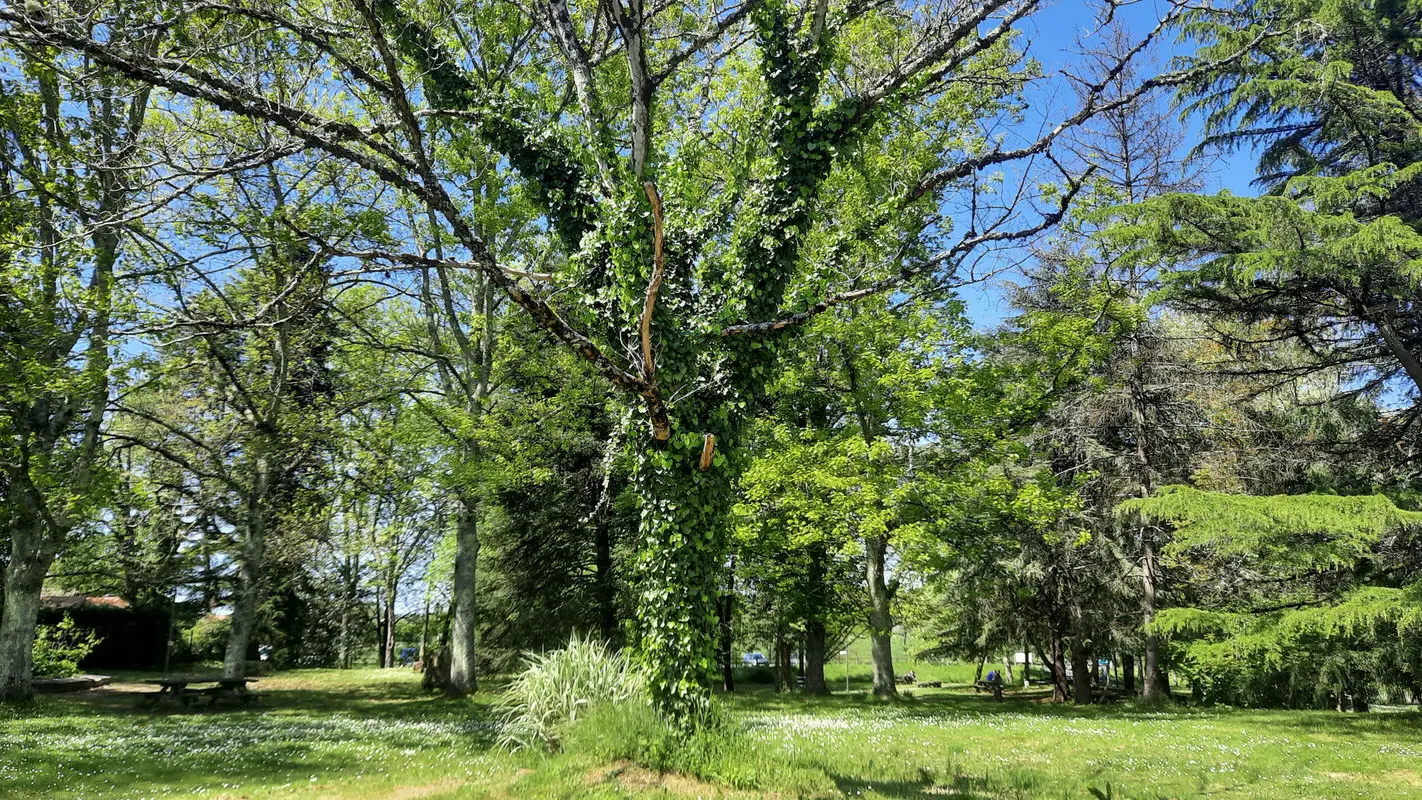 parc-voulgre-mussidan-maison-doubleaude-tourisme-vallee-isle-2025