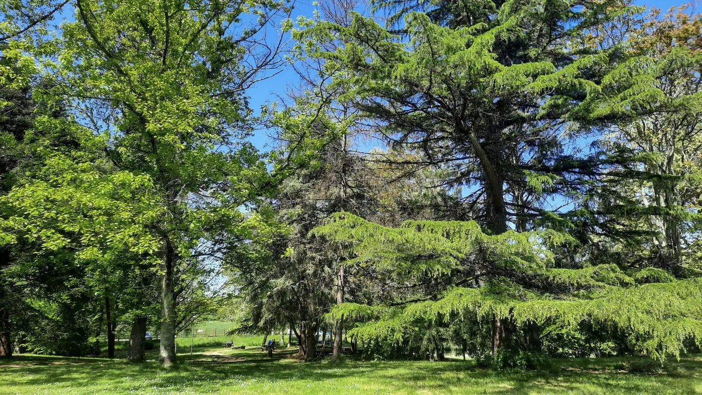 parc-voulgre-mussidan-pierre-tourisme-vallee-isle-2025