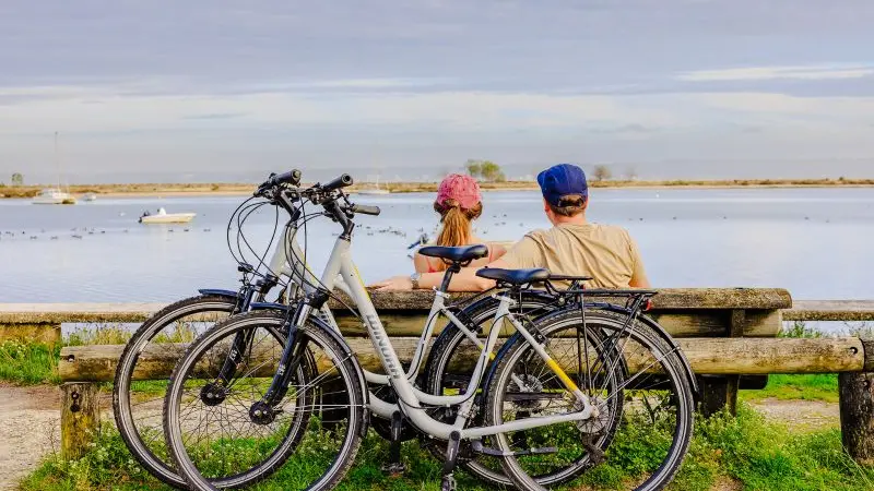 Vélos du Bassin - été oiseaux