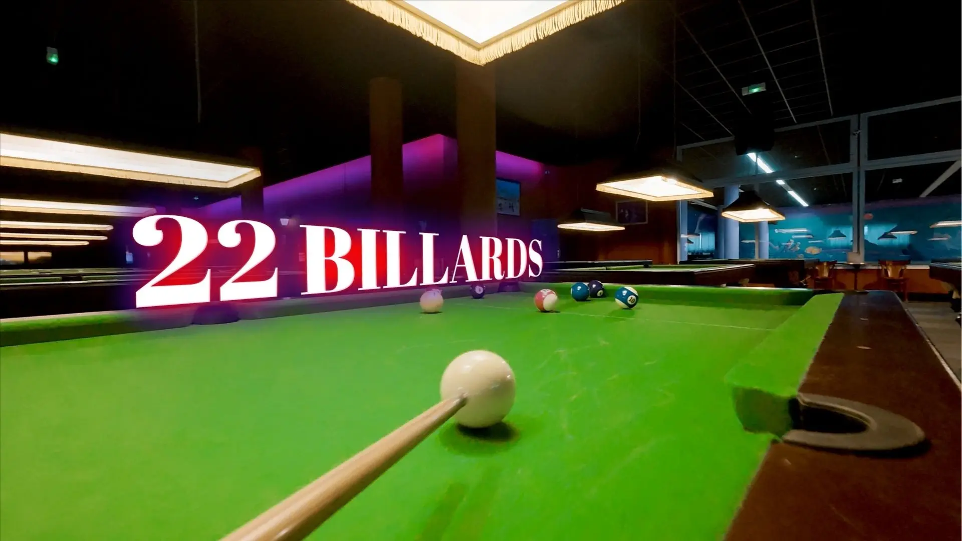 Snook Bowl palace billards