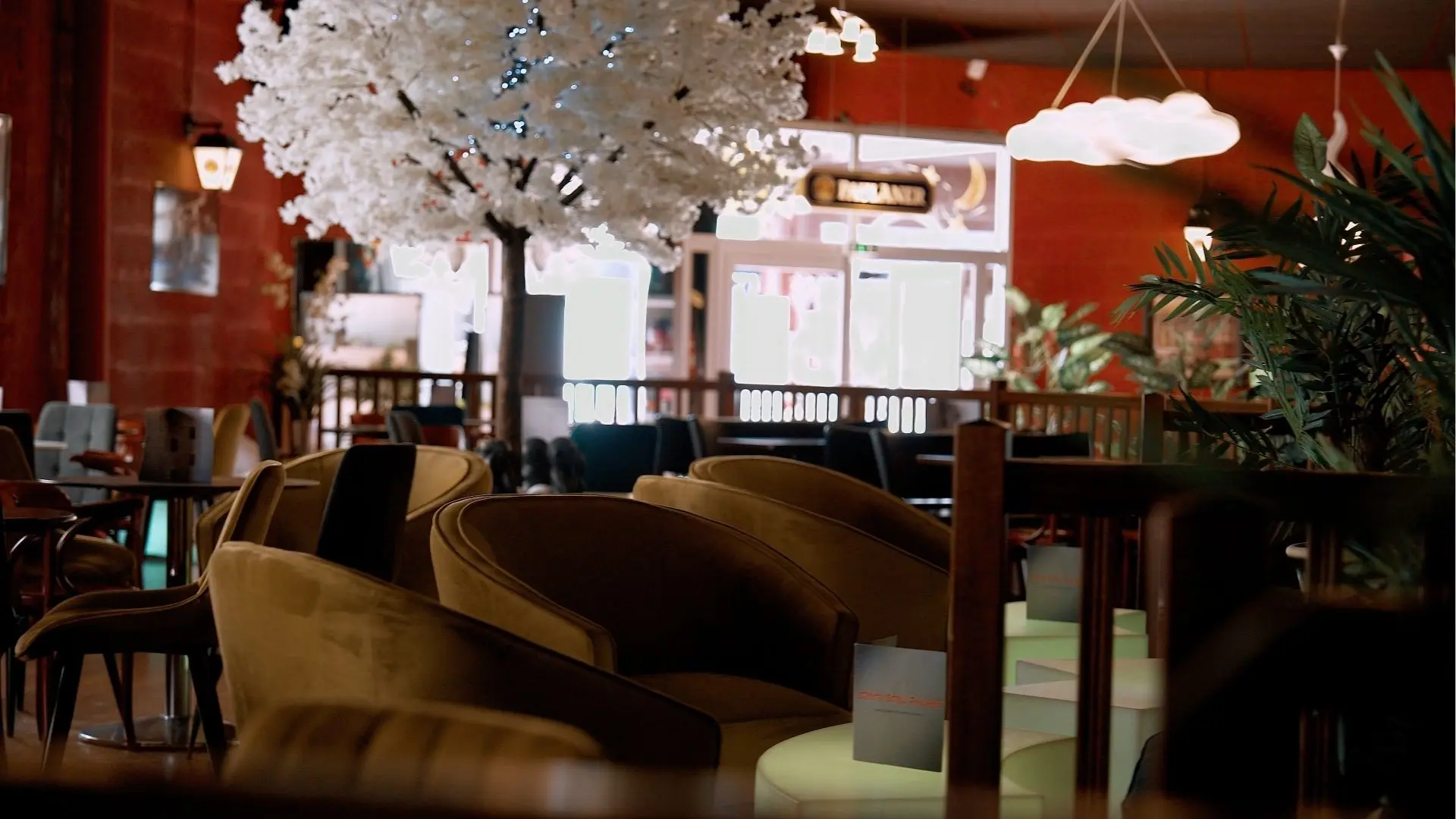 Snook Bowl palace salle