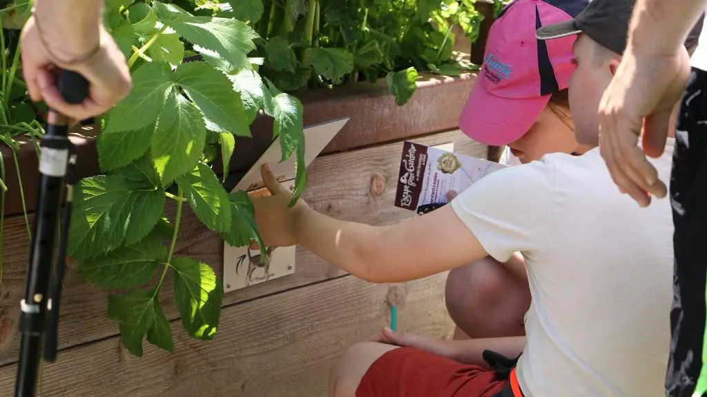 photo présentation  escape game garden 7