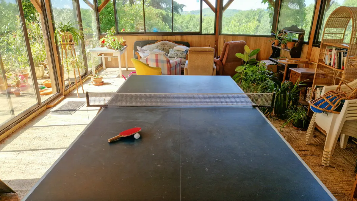 ping pong