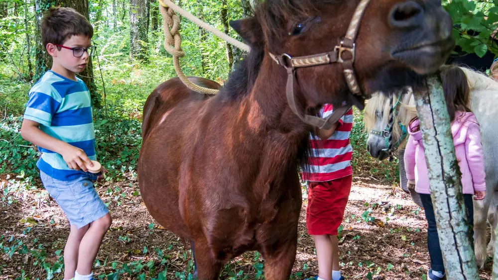 poney-Noalha (4)
