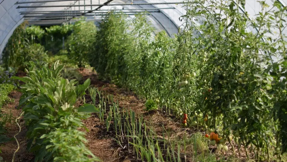potagers la lande serre