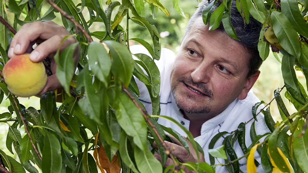 régis gagnadre - auberge de layotte - 2 9