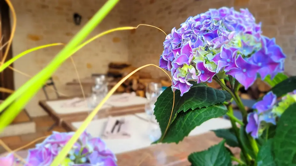 restaurant-o-petit-gavroche-terrasse(3)
