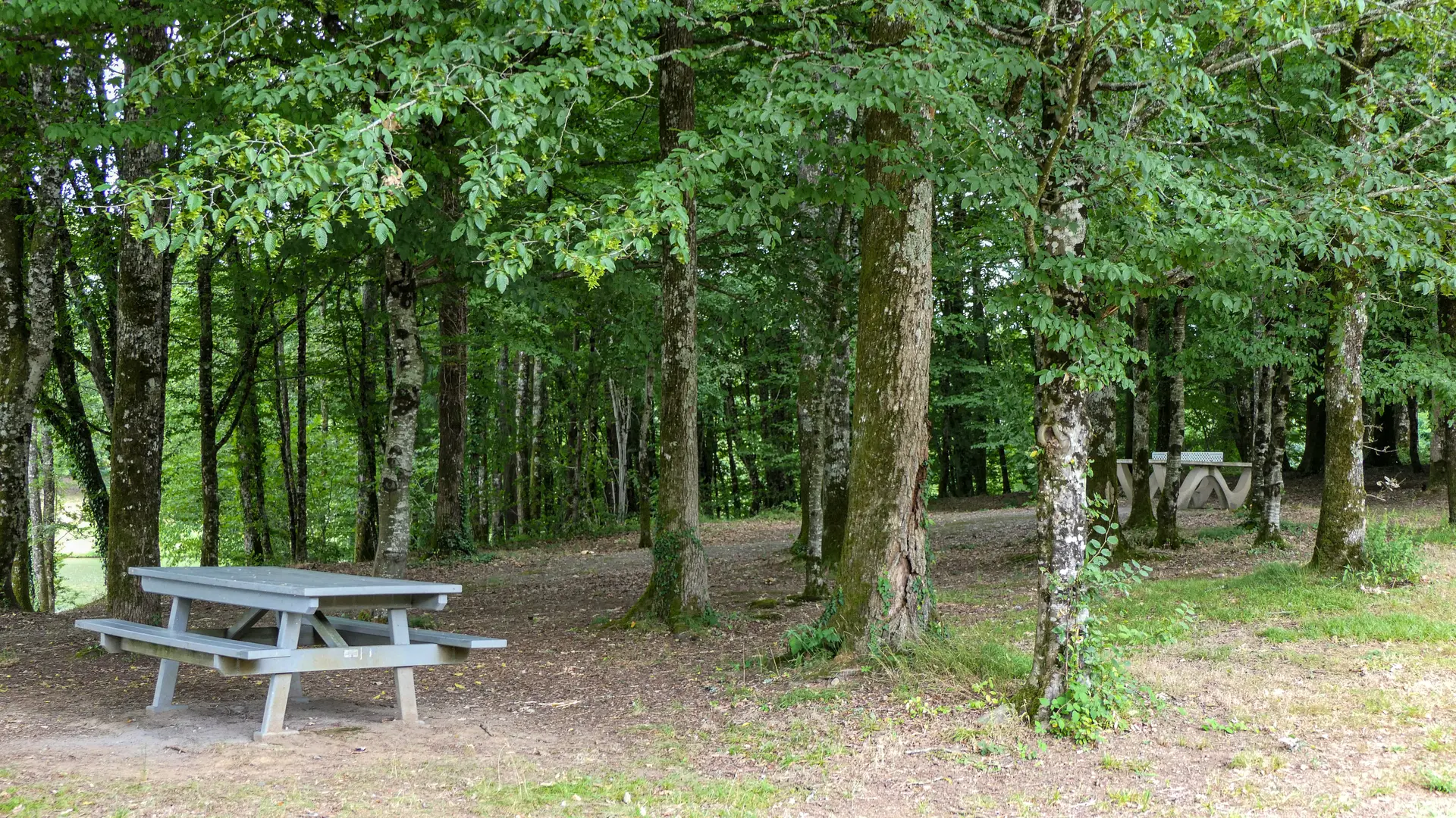 saillat-sur-vienne_2024_amel-elmalah_aire-de-pique-nique