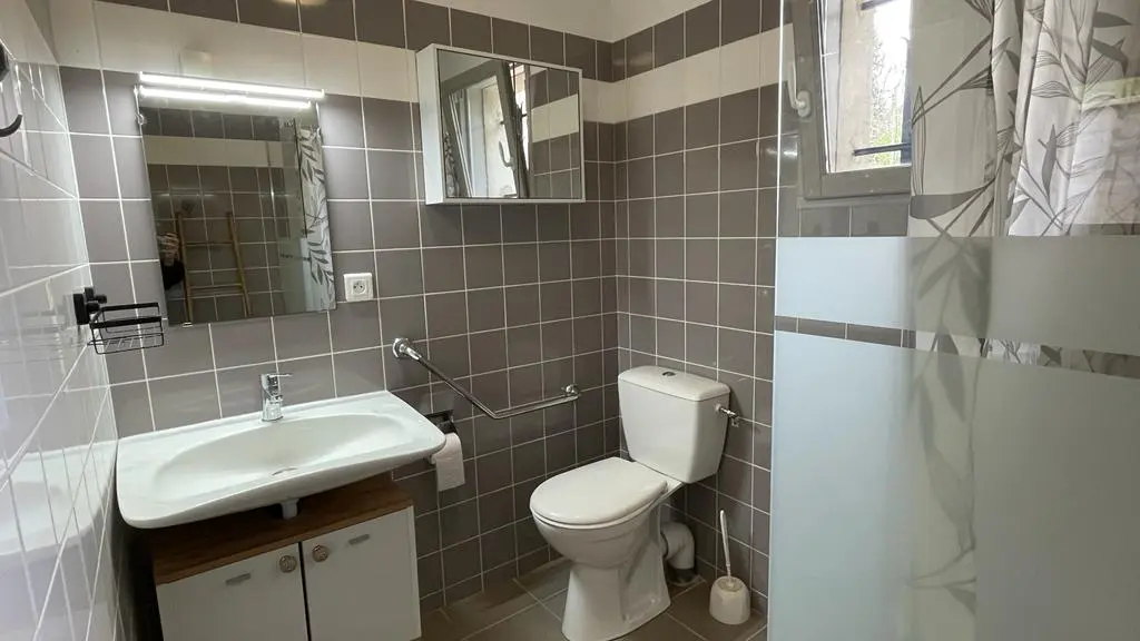 SIBO GITE*** SALLE D'EAU APPART CHEMINEE