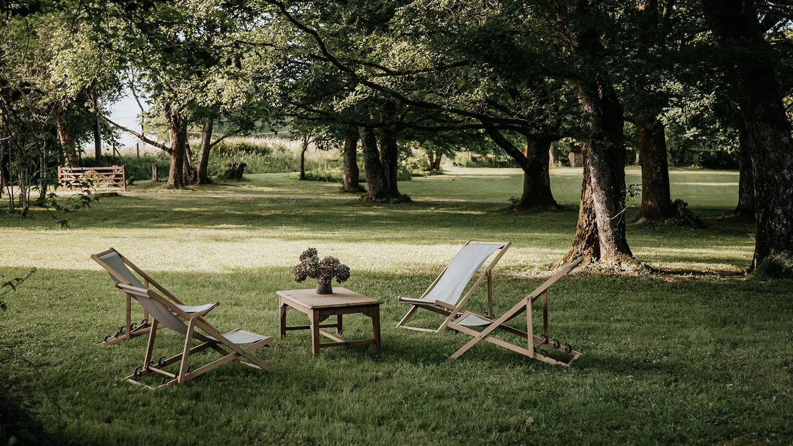 salon bouleaux et parc