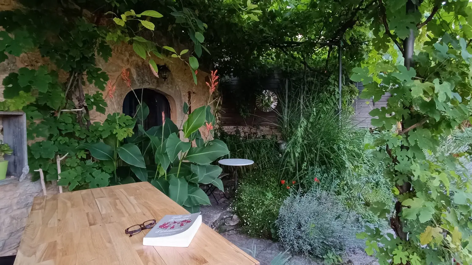 sous la vigne