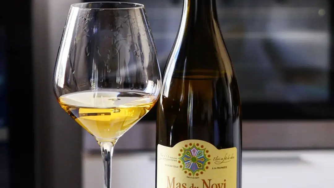 56196706-574818659670408-2694977607555874816-n