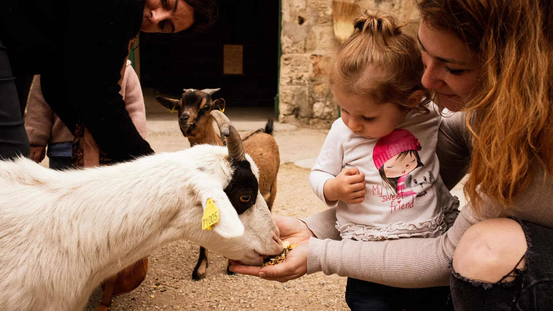 le nourrissage des animaux