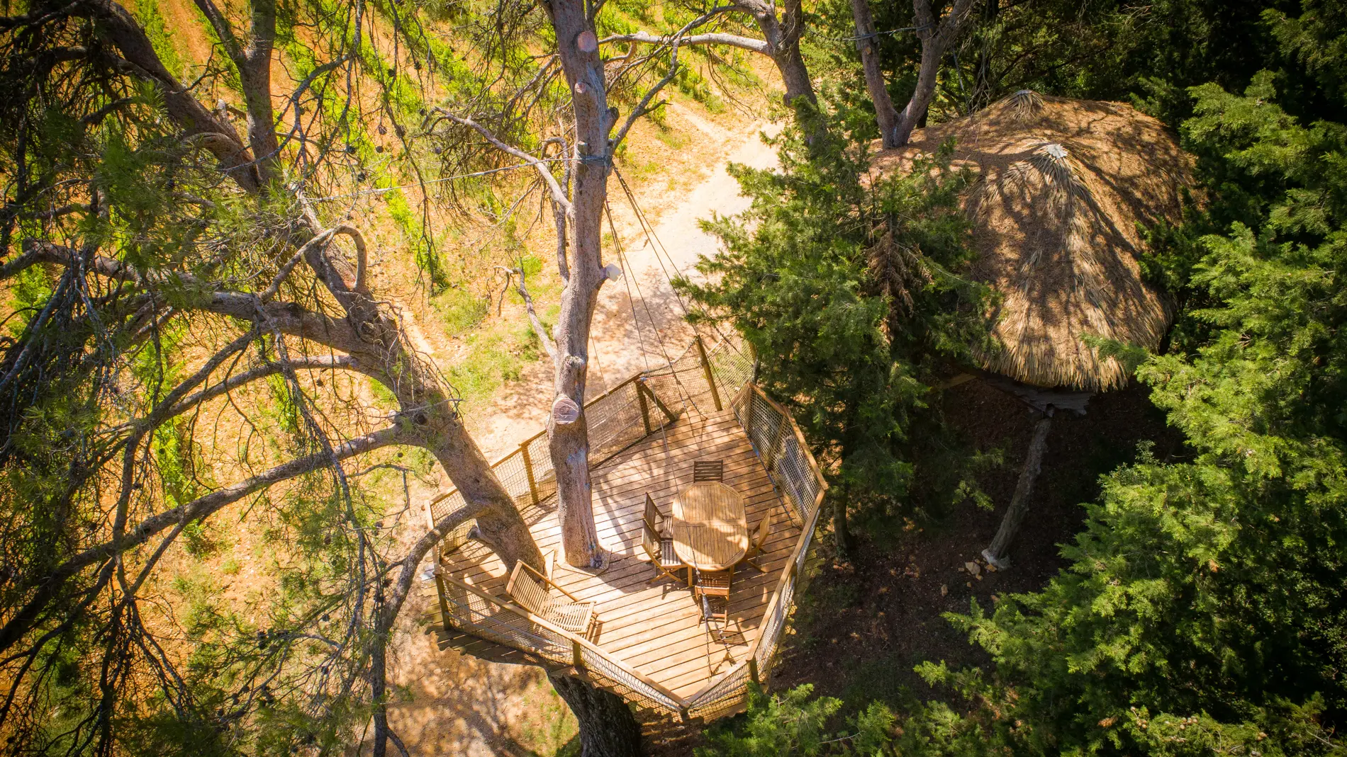 cabanes dans les arbres au domaine de l'arobousier, castries