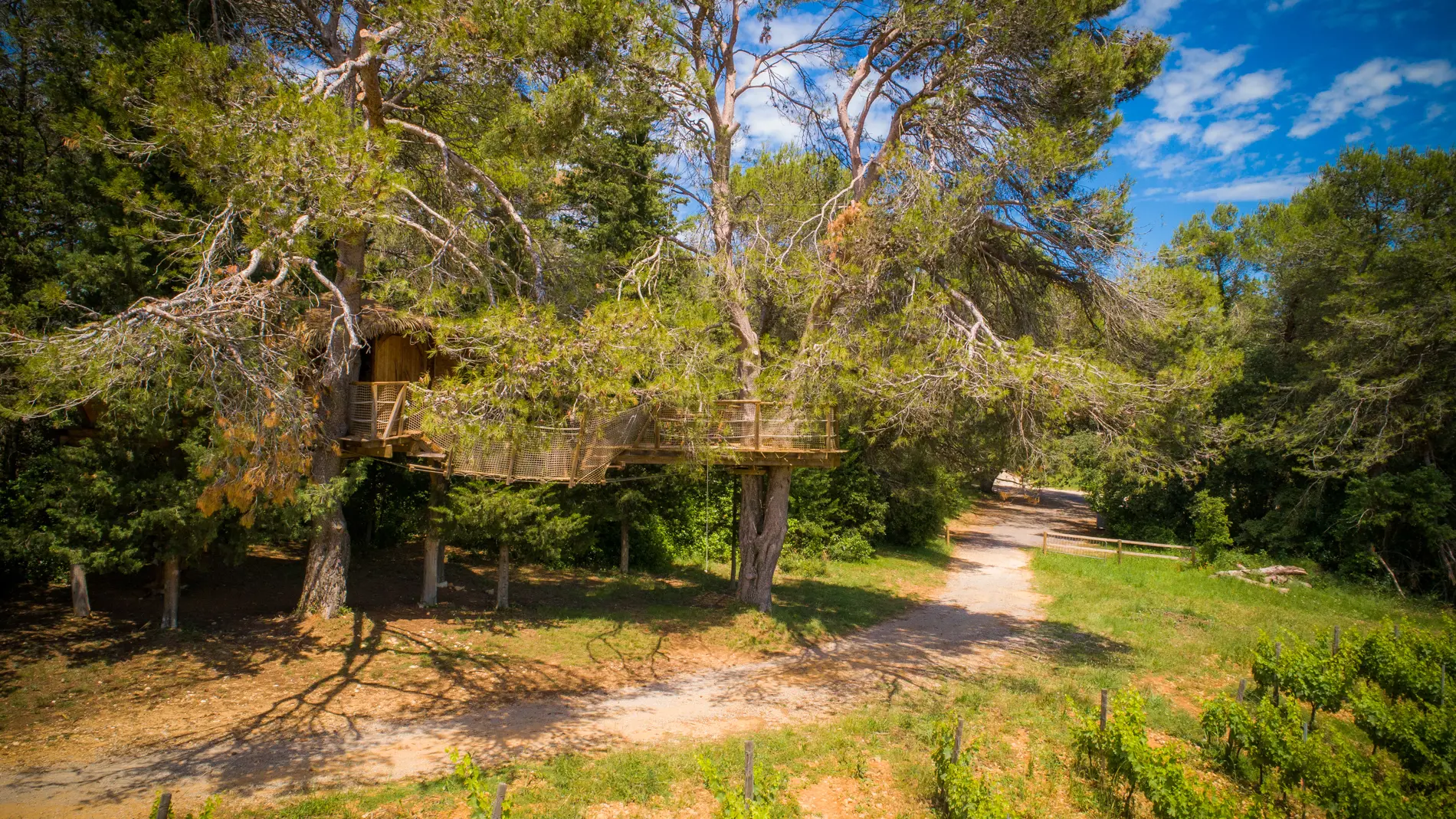 cabanes dans les arbres au domaine de l'arobousier, castries