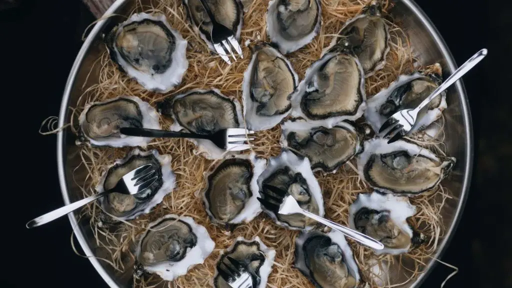 Huîtres de Bouzigues proposées par le traiteur Brasero Gourmand