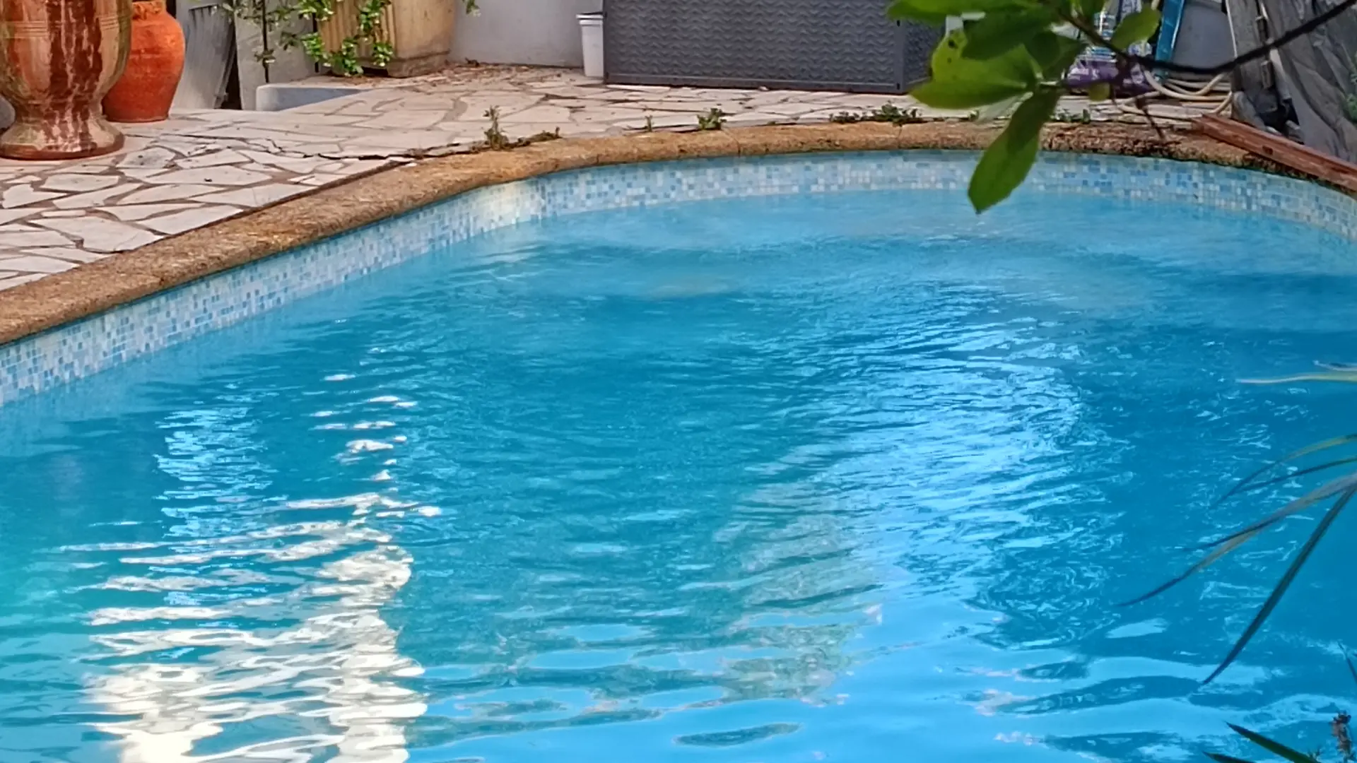 Piscine ouverte du juin au septembre