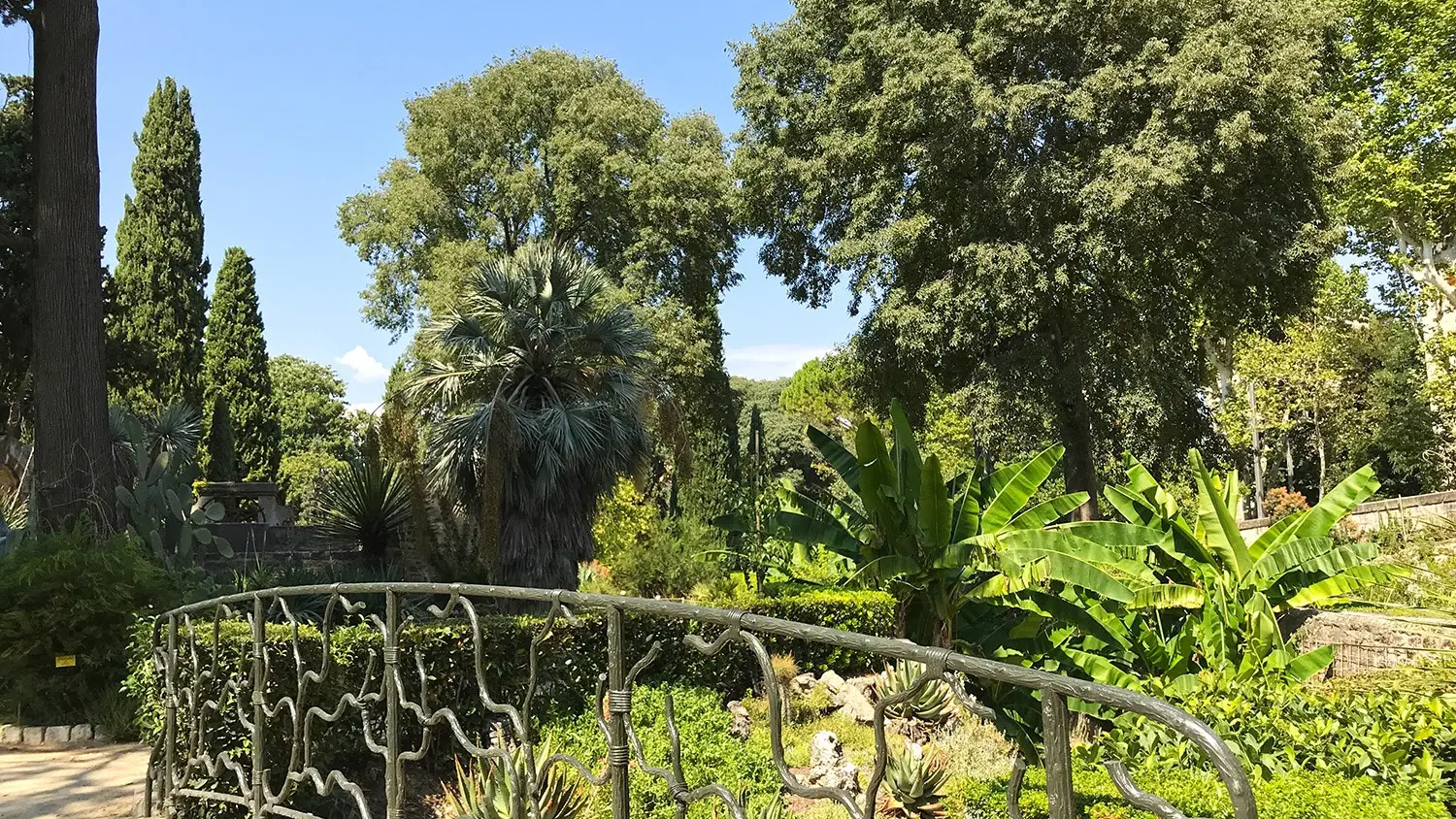 jardin des plantes Montpellier