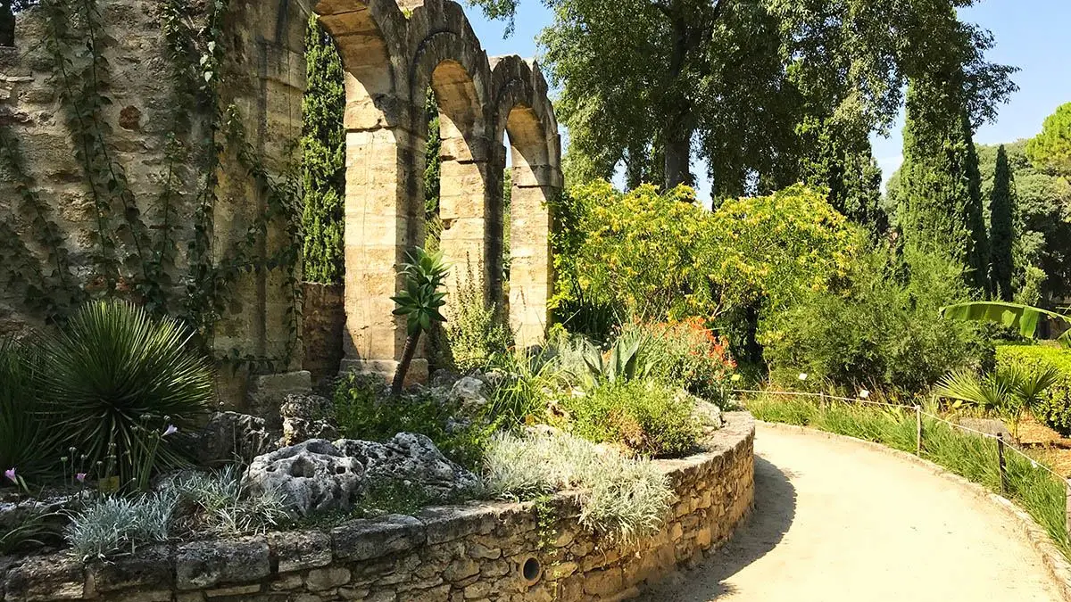 jardin des plantes Montpellier