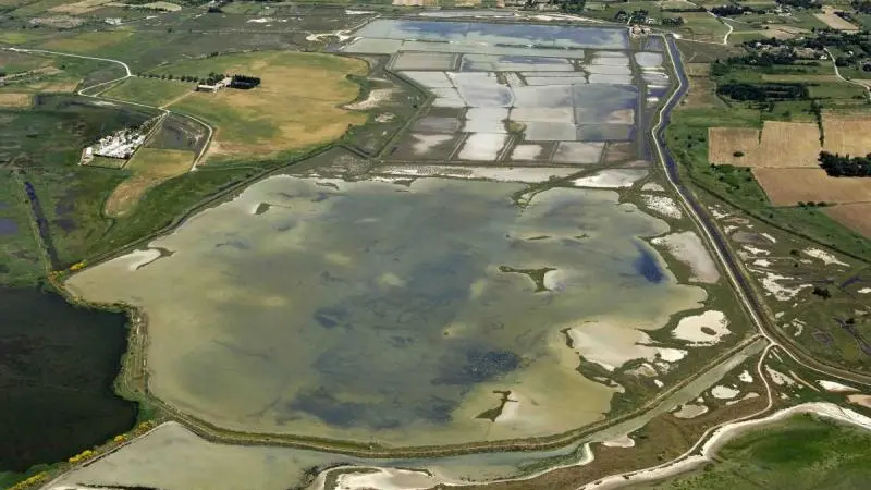 2-Site-naturel-protégé-des-Salines-de-Villeneuve-34-SIEL