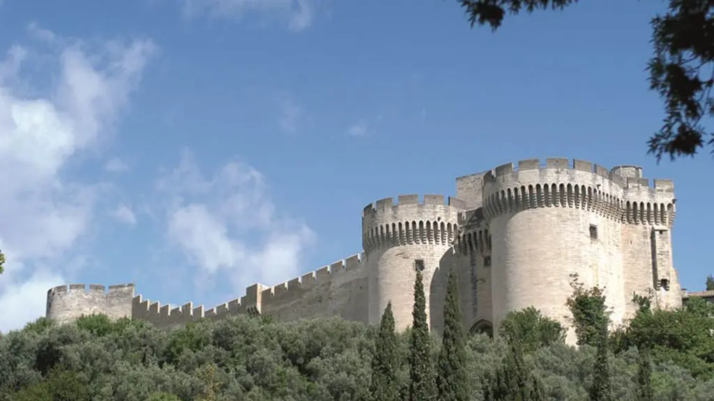 Emmanuel Marre - Ville de Villeneuve les Avignon