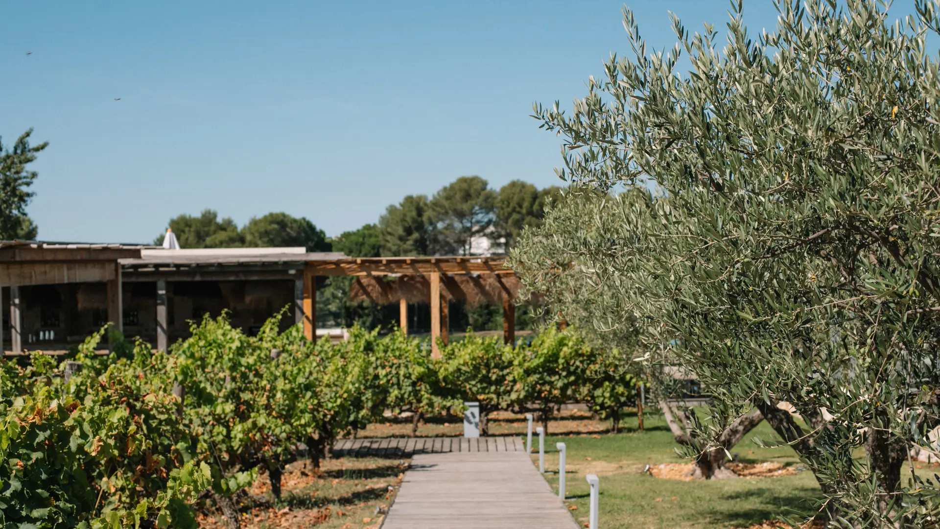 verchant_07_24_alexiaroux_39