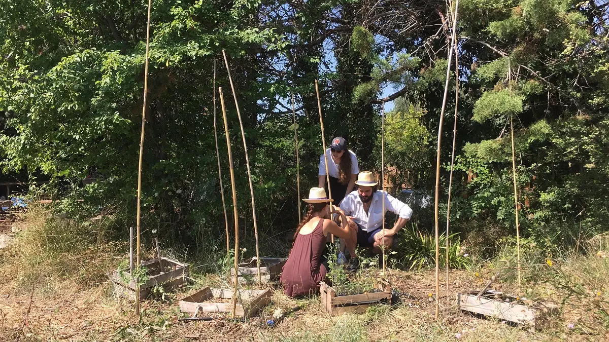 Atelier-potager