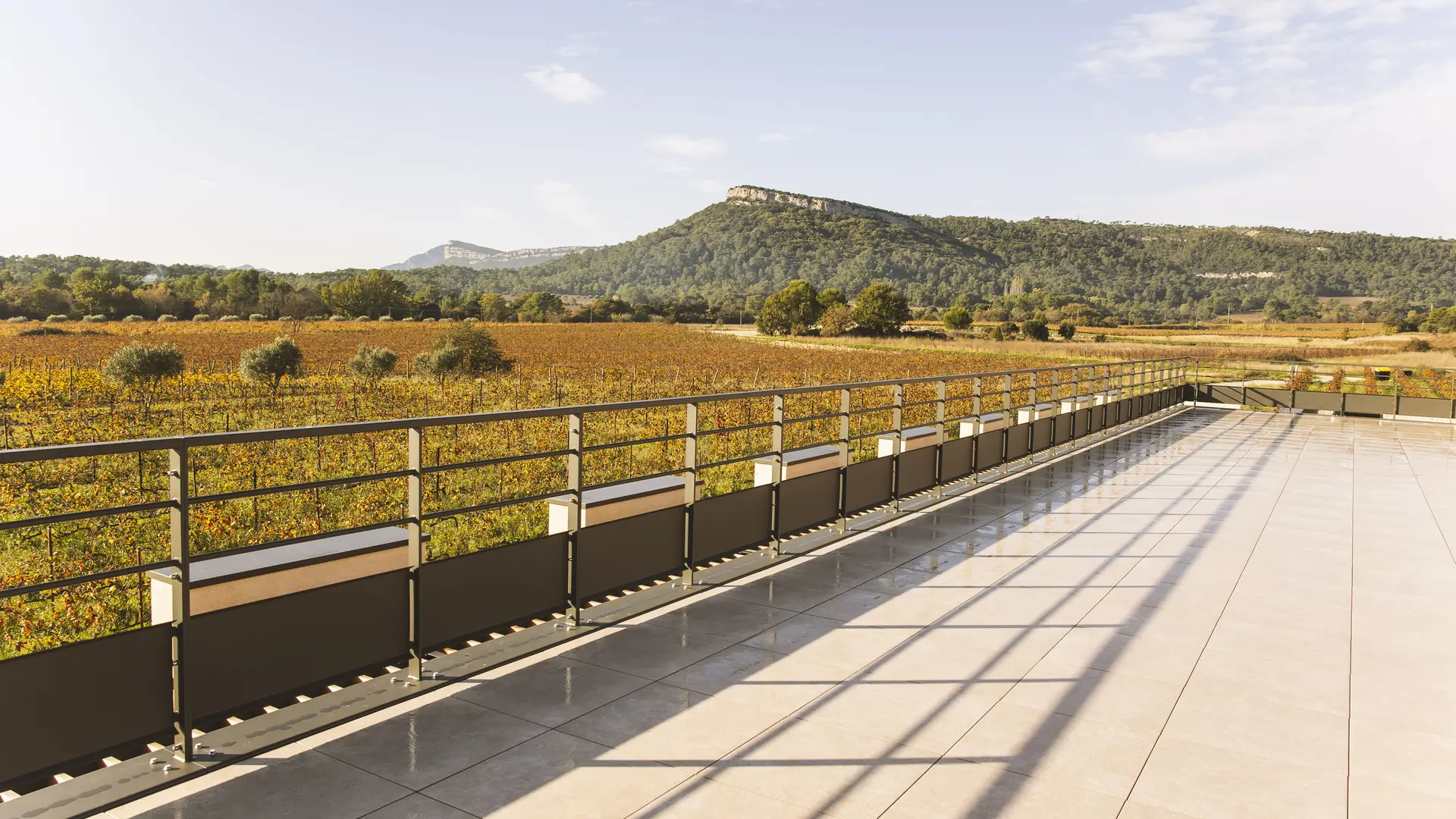 BERGERIE_AUTOMNE_view2024_