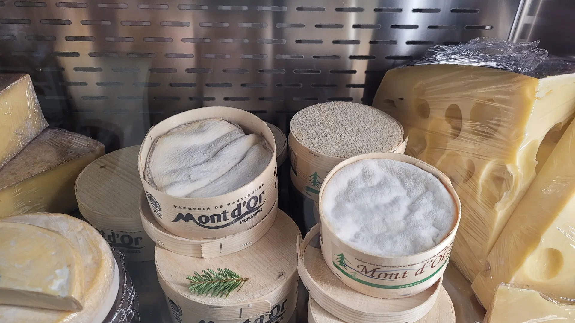 BLEU - ©M.HESS OTC3M (4)