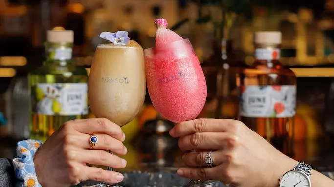 Bonsoir cocktail granité