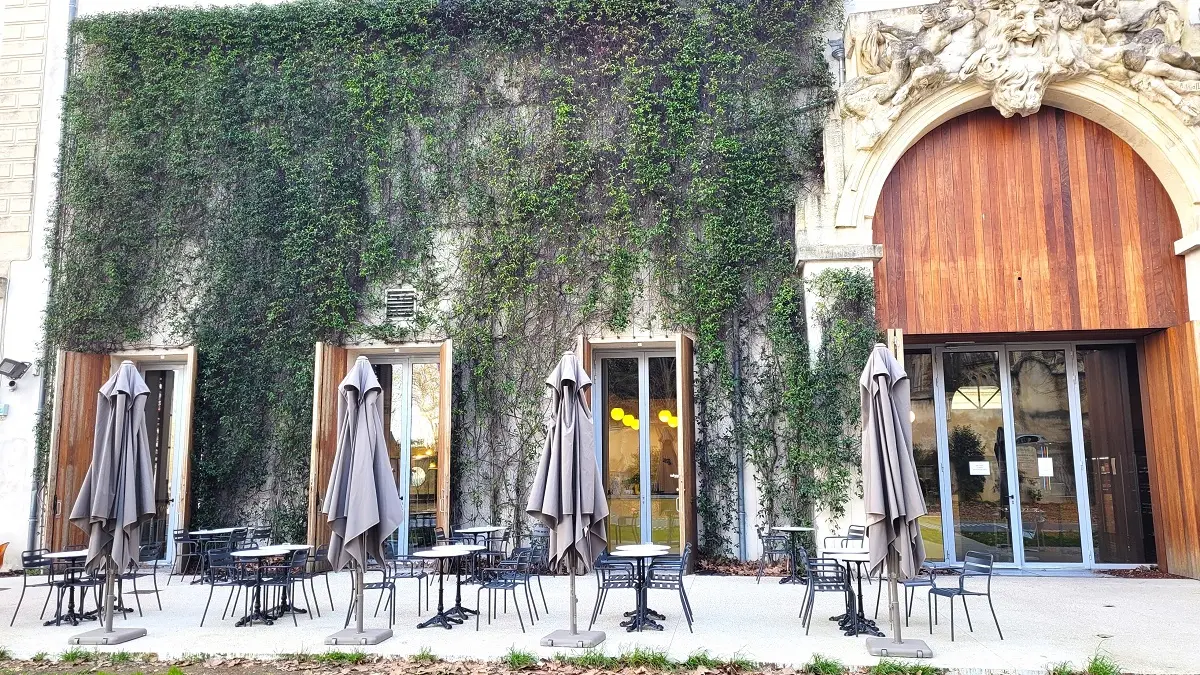 CHEF JEAN MUSEE FABRE 170226 - ©M.HESS OTC3M (4)