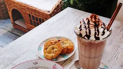 La Maison des Chats - Choco'Latte Frappé & Brownie aux noix