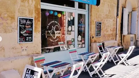 La Maison des Chats - Facade