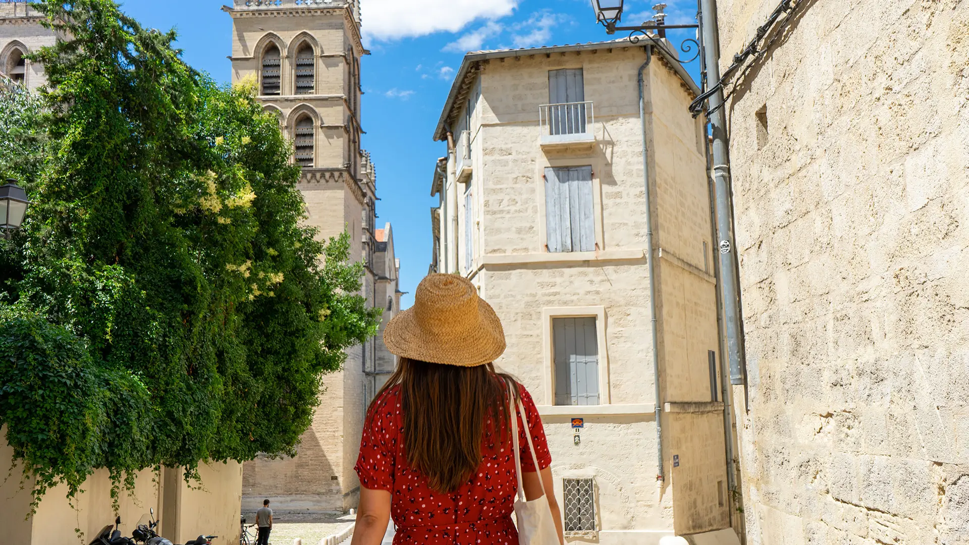 Cathédrale-St-Pierre-@OTM-Montpellier-(15)