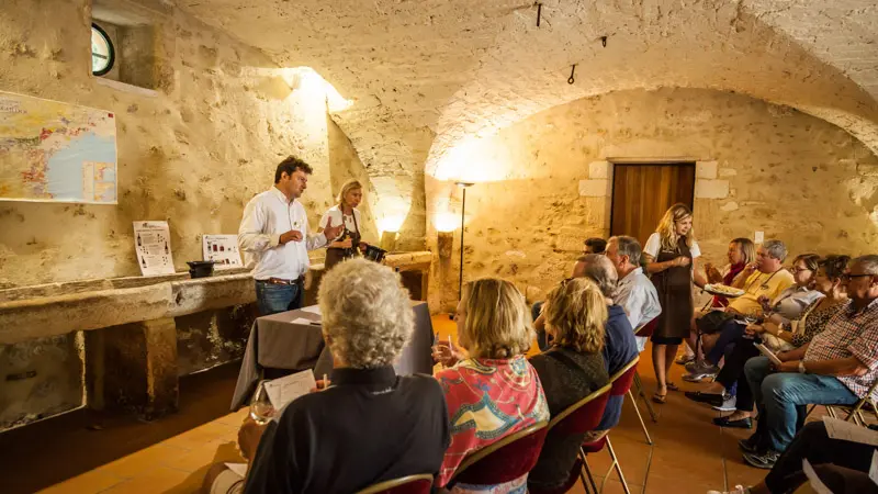 Chateau de Flaugergues-Montpellier_9