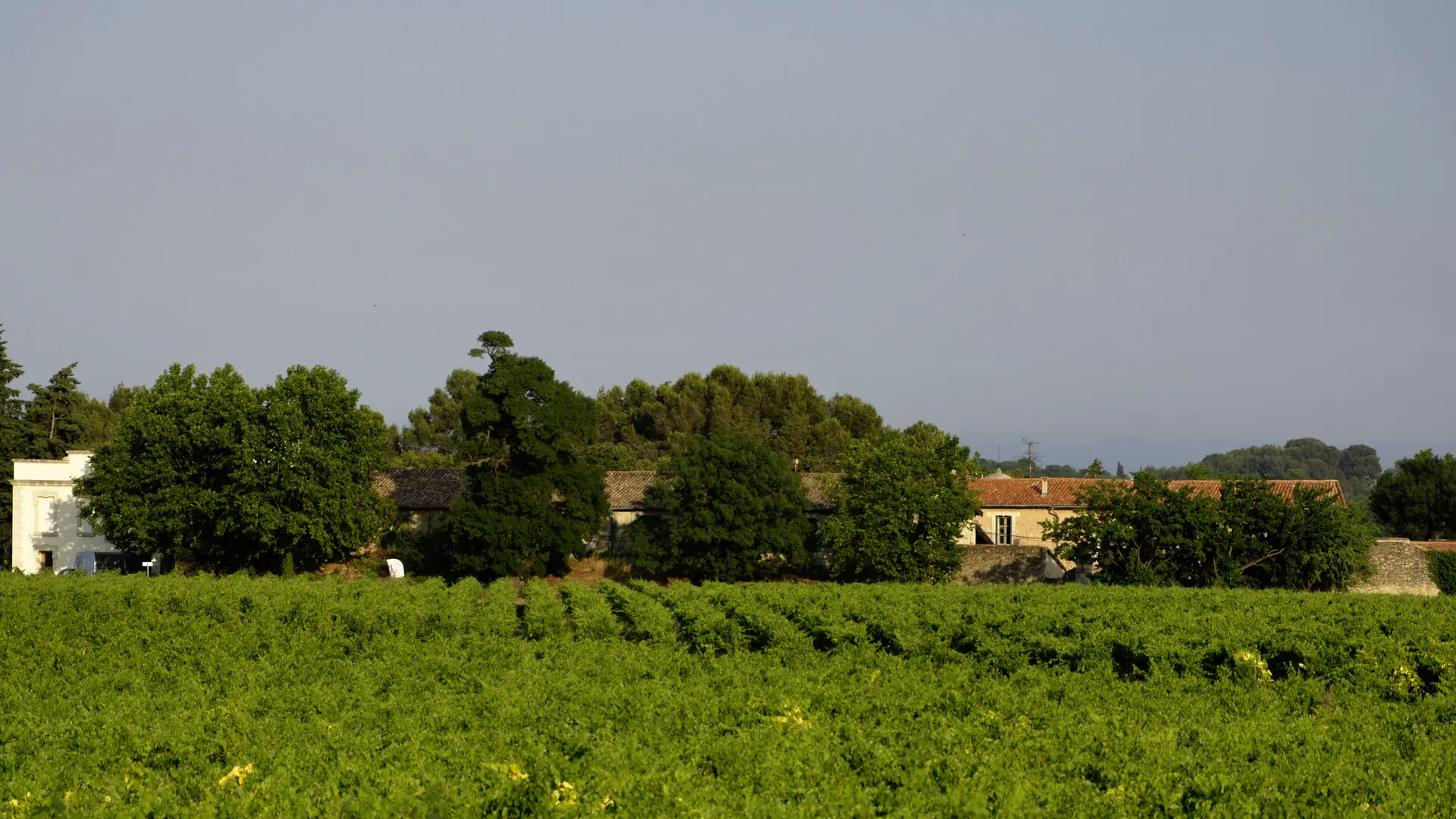 Château de Fourques