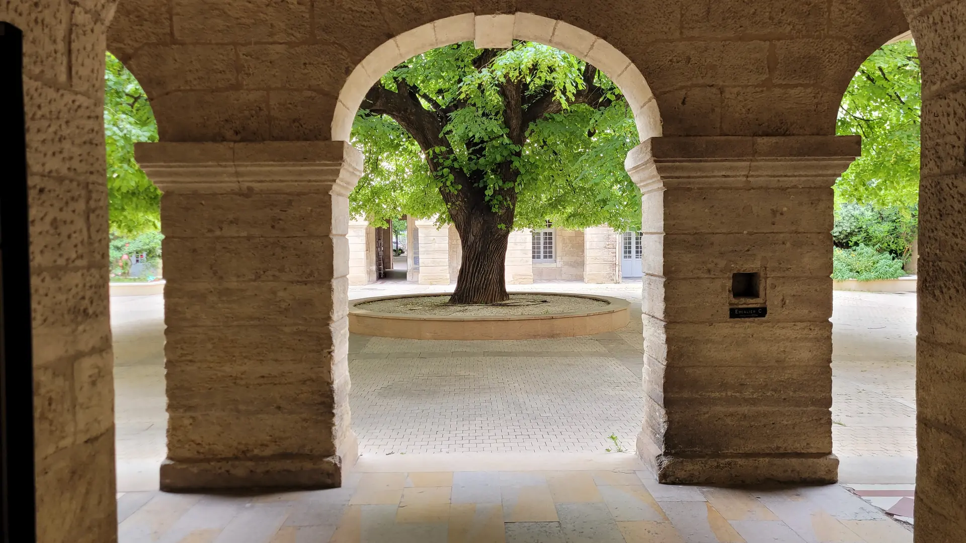 Rectorat - Cour Soulages_12