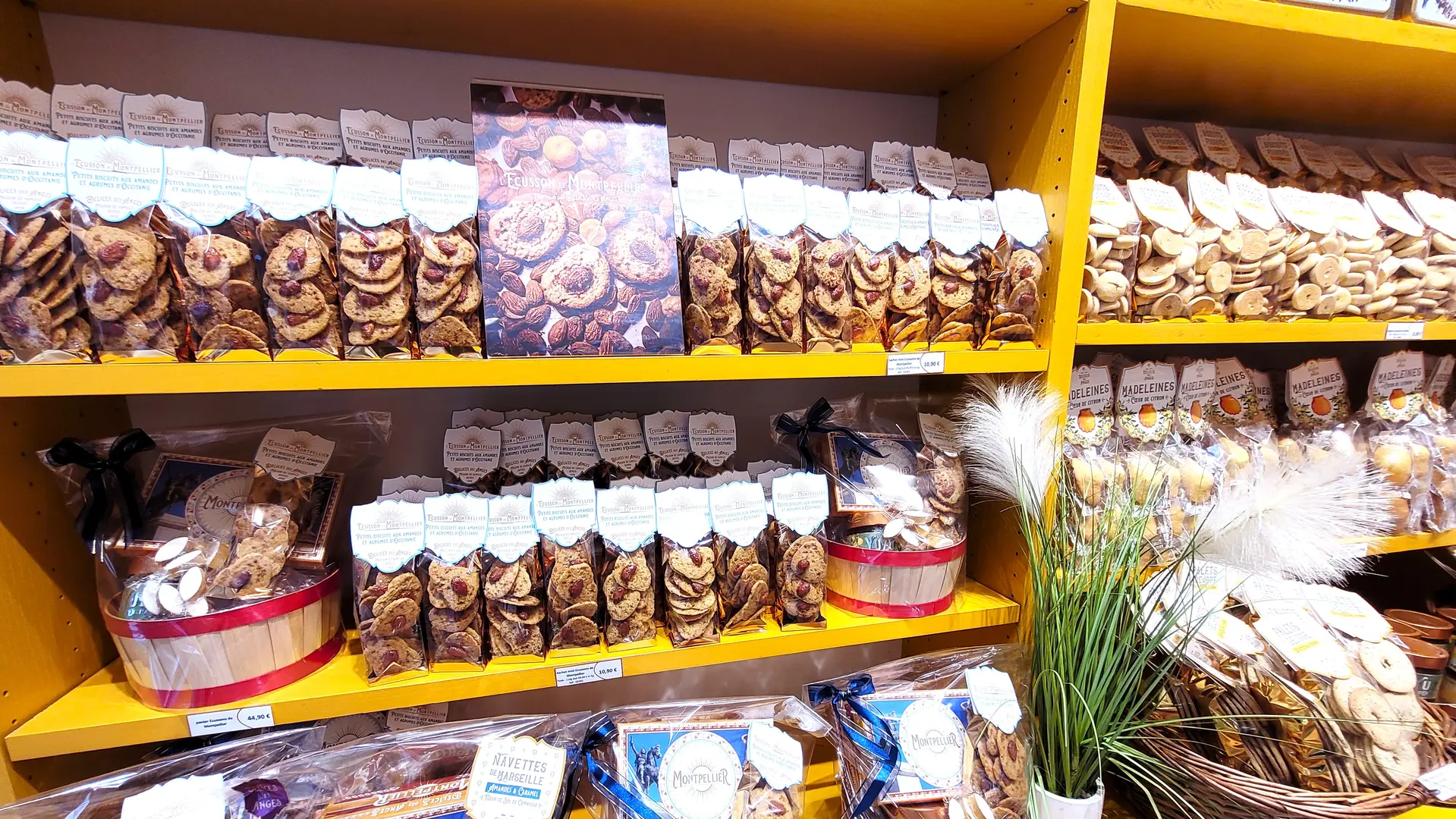 DELICES DES ANGES - ©M.HESS OTC3M