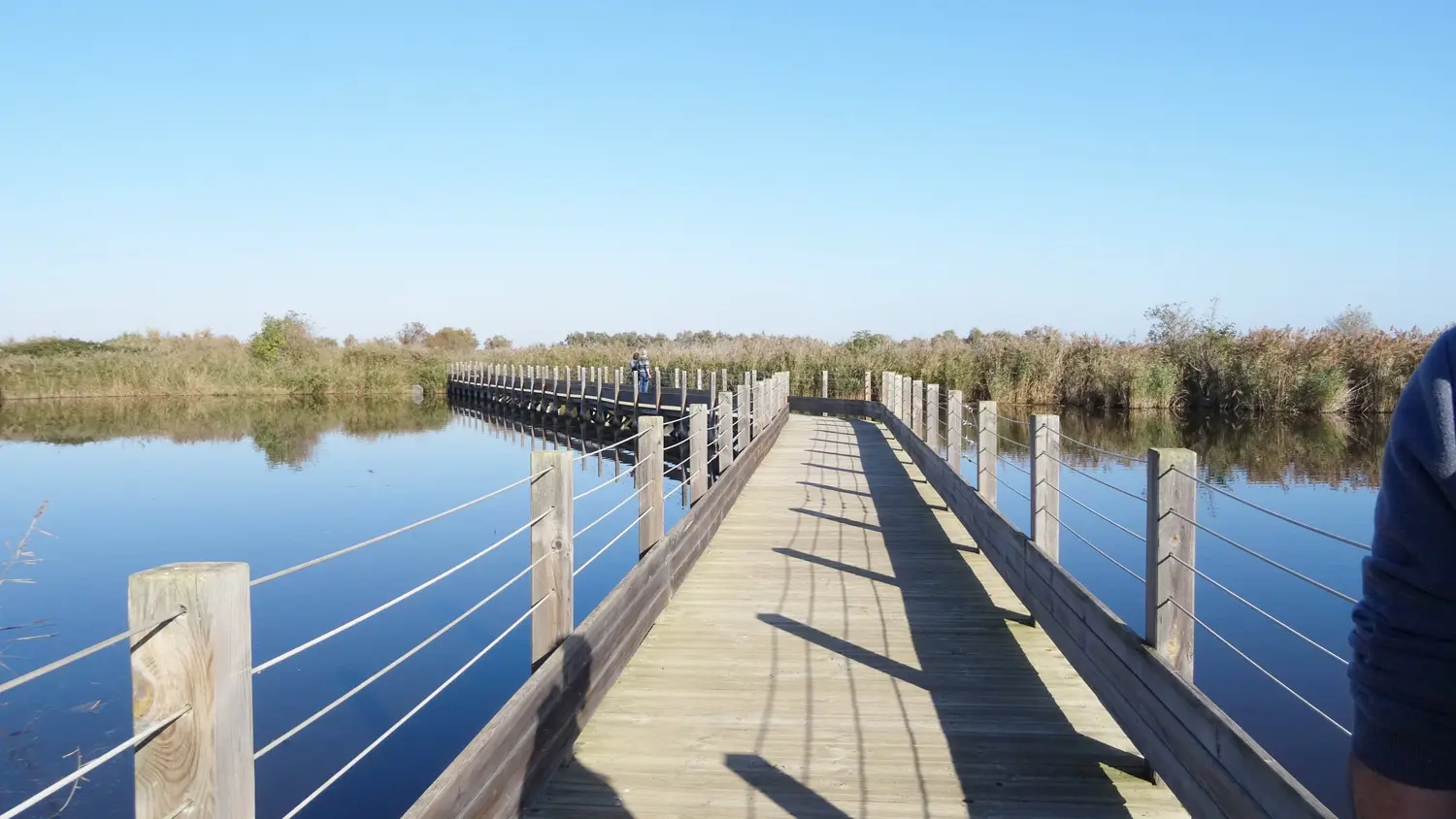 etang du mejean - lattes - maison de la nature